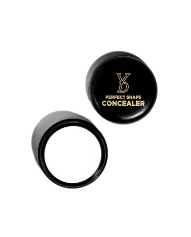 CONCEALER PERFECT SHAPE CONCEALER