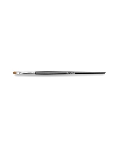 PENNELLO PENCIL TECHNIQUE N.29