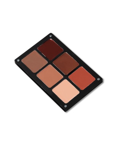 PALETTE WATERPROOF CREAM