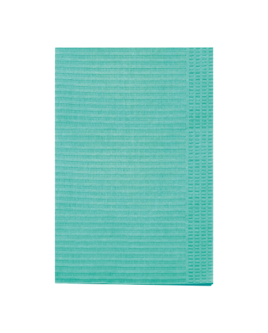 TOVAGLIETTE PLASTIFICATE 1 PZ